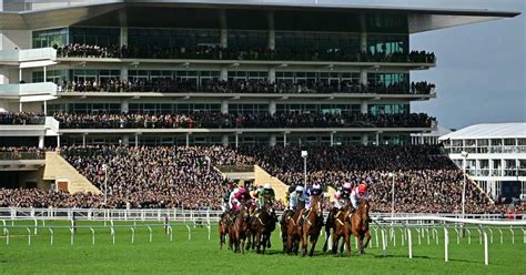 cheltenham fast results